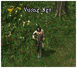 duocpham_duongngo